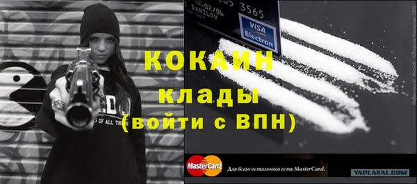 Альфа ПВП Аркадак