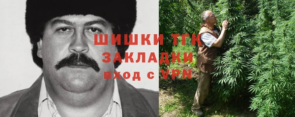 Альфа ПВП Аркадак