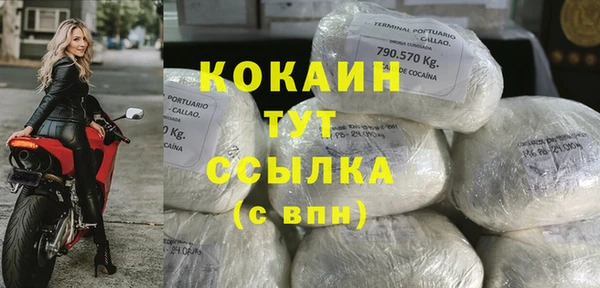 Альфа ПВП Аркадак