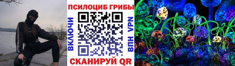 где купить наркоту Суровикино Псилоцибиновые грибы Magic Shrooms